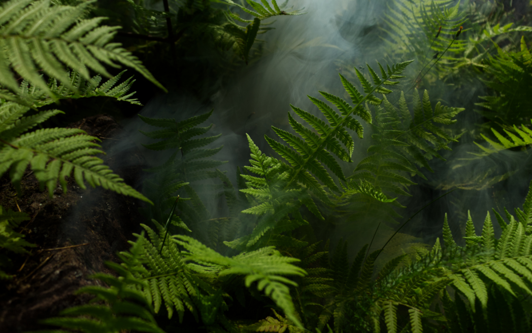 Why Mental Health Professionals Need an Accountant